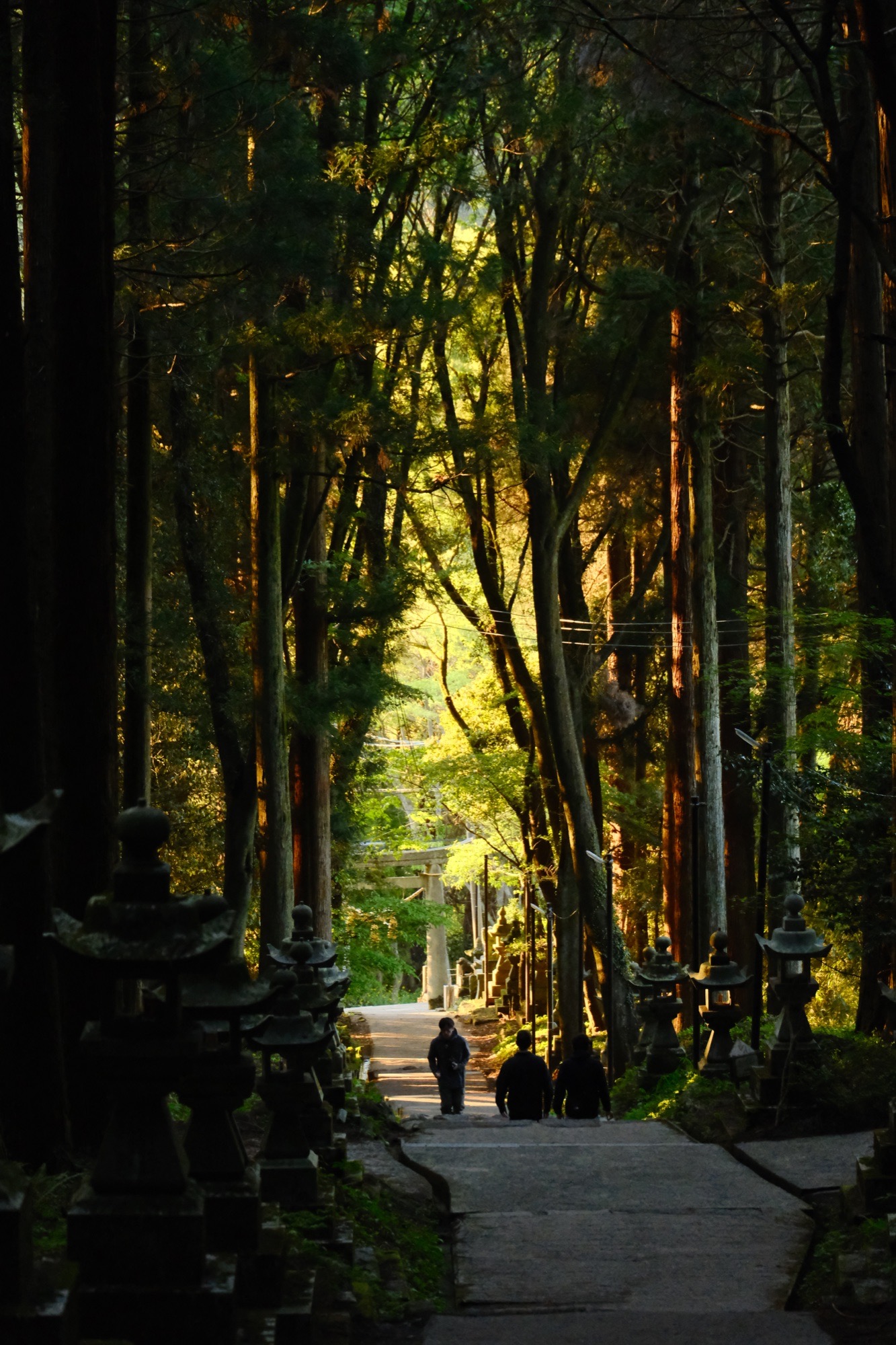 神社鸟居