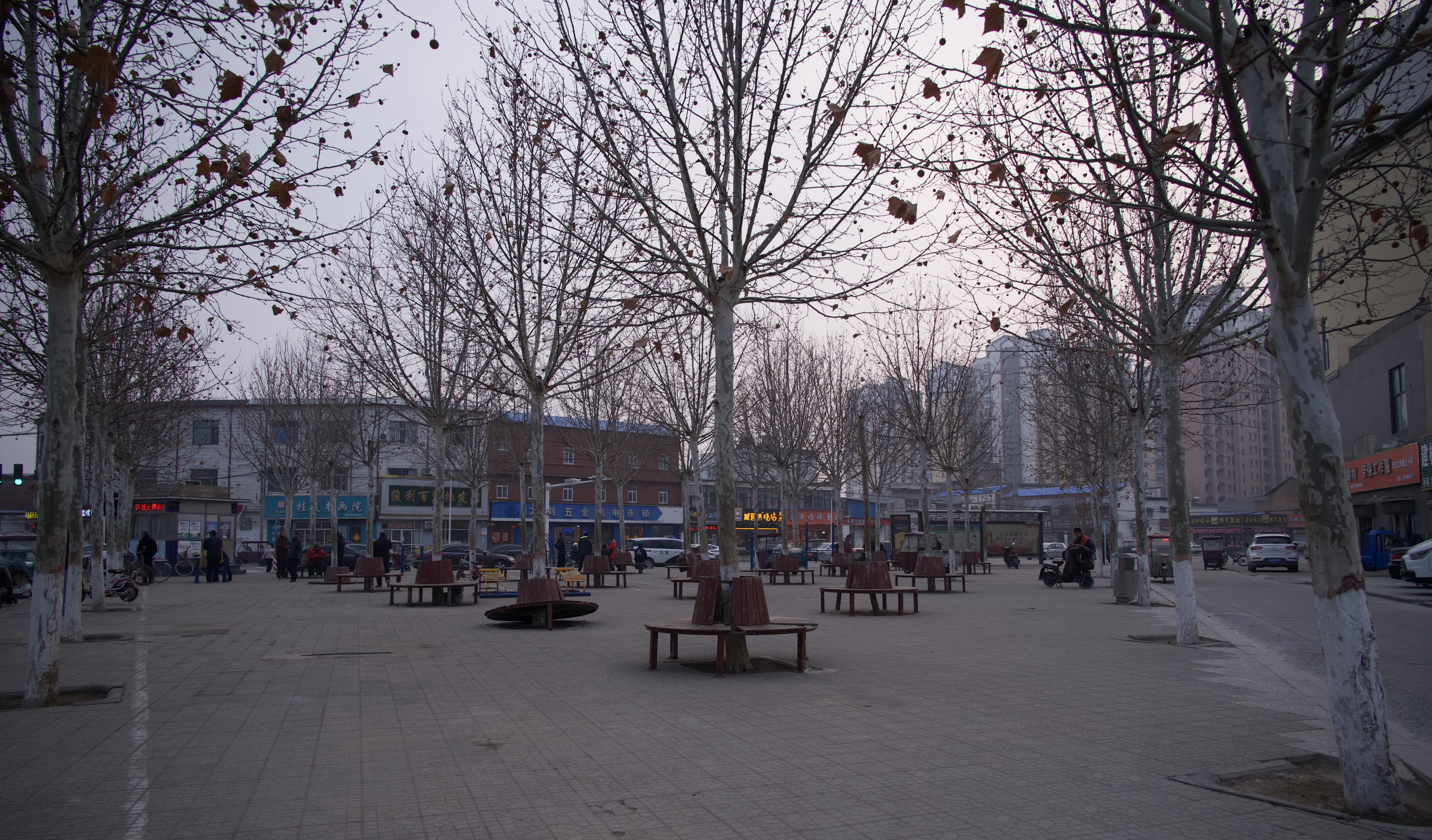 DSC_7889 from Changyuan