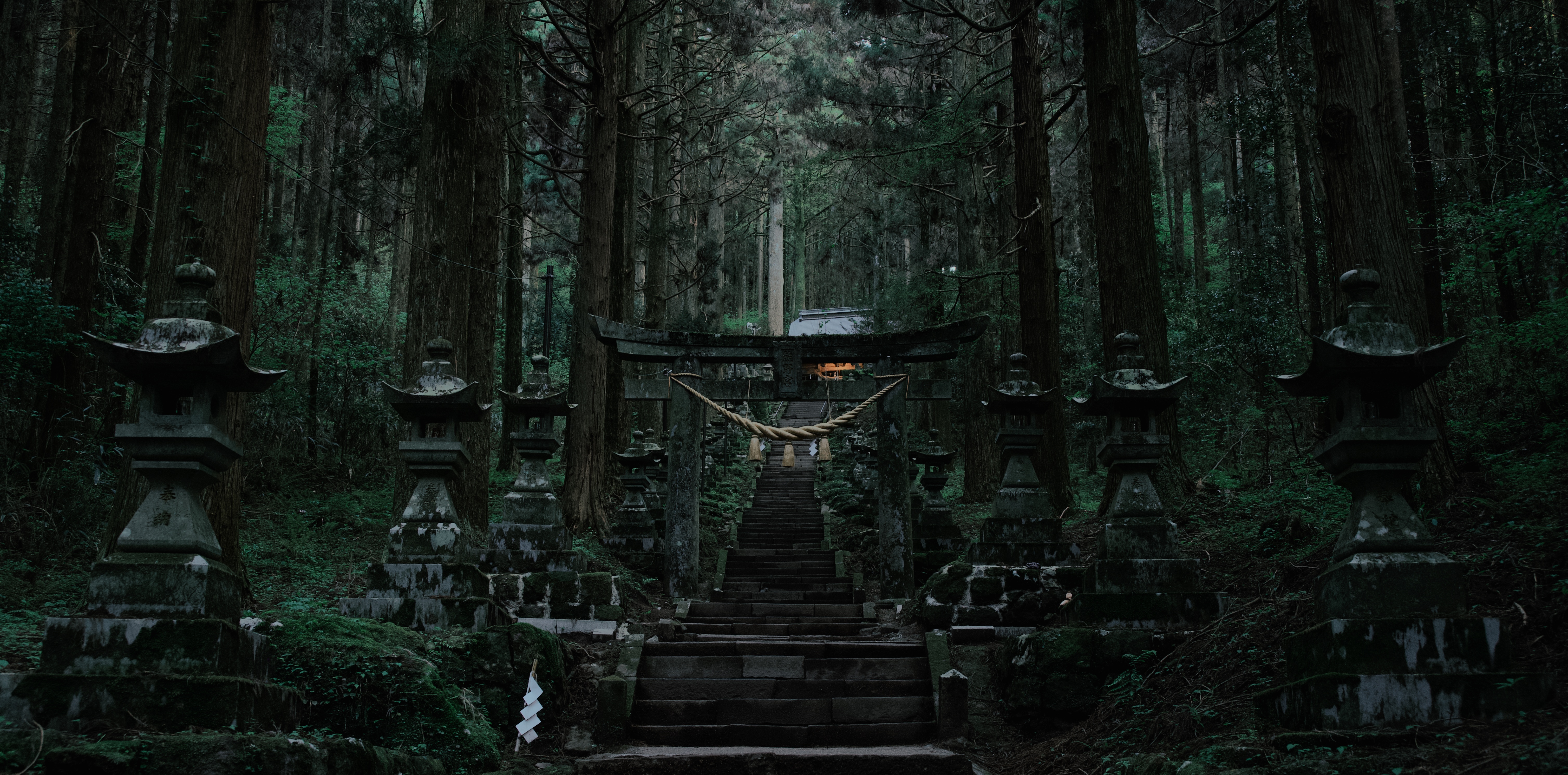 DSC_3505 from Kumamoto